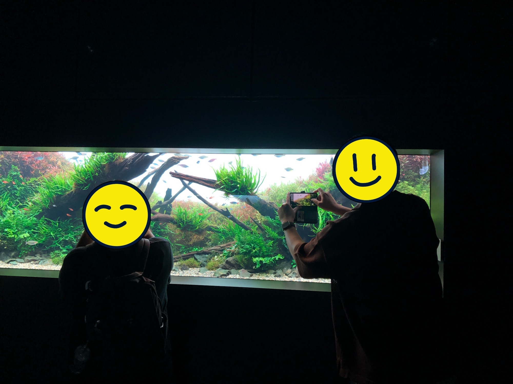 写真作品コーナー